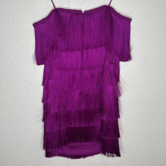 NWT Milly Nuoir Metallic Fringe Mini Dress Fuchsia Metallic Size 10 Great Gatsby - Picture 6 of 10